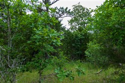 Falcon Crest Tract 16