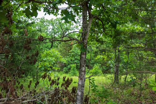 Falcon Crest Tract 16