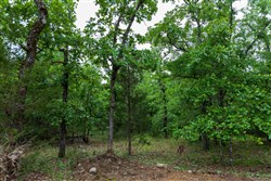 Falcon Crest Tract 16