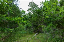 Falcon Crest Tract 16