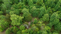 property photo for Falcon Crest Tract 19, 5.19 acres for sale in Pushmataha County, Oklahoma