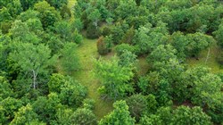 property photo for Falcon Crest Tract 19, 5.19 acres for sale in Pushmataha County, Oklahoma