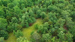 property photo for Falcon Crest Tract 19, 5.19 acres for sale in Pushmataha County, Oklahoma