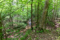 property photo for Falcon Crest Tract 20, 5.25 acres for sale in Pushmataha County, Oklahoma