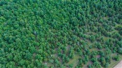 property photo for Falcon Crest Tract 20, 5.25 acres for sale in Pushmataha County, Oklahoma