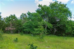 property photo for Falcon Crest Tract 20, 5.25 acres for sale in Pushmataha County, Oklahoma