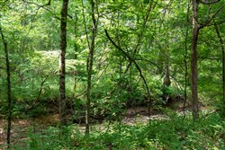 property photo for Falcon Crest Tract 22, 7.17 acres for sale in Pushmataha County, Oklahoma