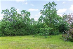 property photo for Falcon Crest Tract 22, 7.17 acres for sale in Pushmataha County, Oklahoma
