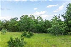 property photo for Falcon Crest Tract 22, 7.17 acres for sale in Pushmataha County, Oklahoma