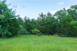 property photo for Falcon Crest Tract 22, 7.17 acres for sale in Pushmataha County, Oklahoma