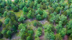 Falcon Crest Tract 28