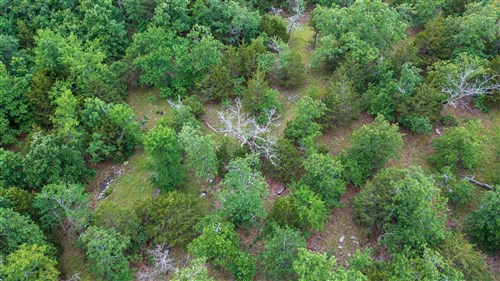 Falcon Crest Tract 28