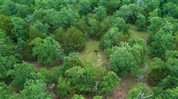 Falcon Crest Tract 28
