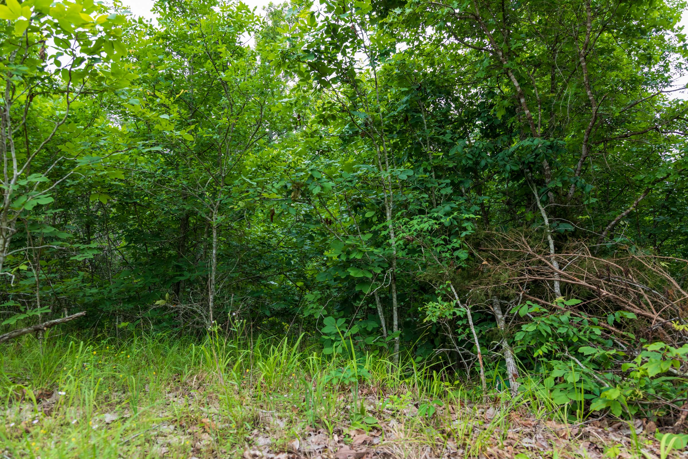 Tract 8 at Falcon Crest in Pushmataha County, Oklahoma