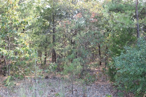 Lake View Ranch Tract 12