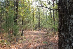 Lake View Ranch Tract 12