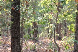 Lake View Ranch Tract 12