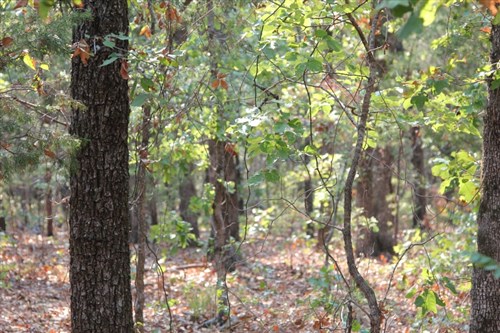 Lake View Ranch Tract 12