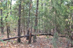 Lake View Ranch Tract 12