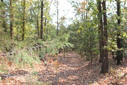 Lake View Ranch Tract 12