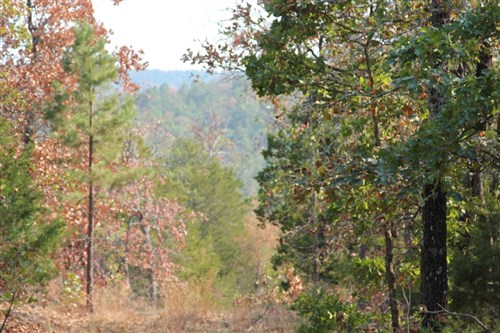Lake View Ranch Tract 13