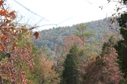 Lake View Ranch Tract 13