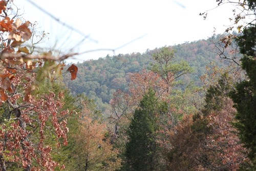 Lake View Ranch Tract 13