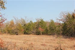 Lake View Ranch Tract 13