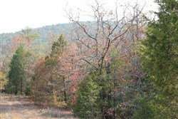 Lake View Ranch Tract 13