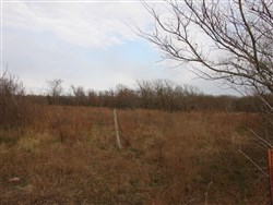 Mountain View Ranch Tract 7