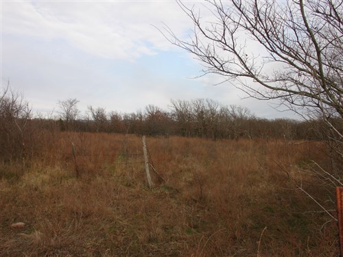 Mountain View Ranch Tract 7