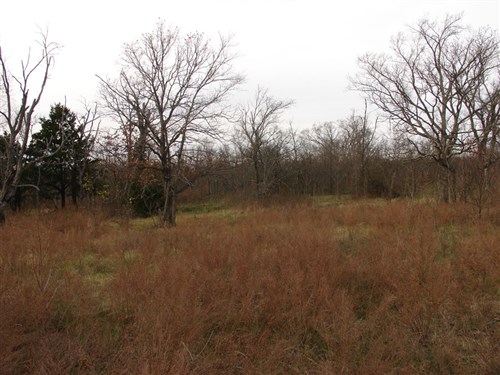 Mountain View Ranch Tract 7