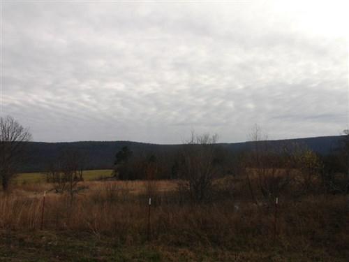 Mountain View Ranch Tract 7