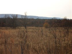 Mountain View Ranch Tract 7