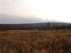 Mountain View Ranch Tract 7