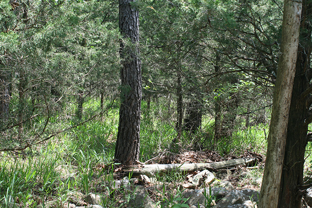 Tract 13 at Pushmataha in Pushmataha County, Oklahoma