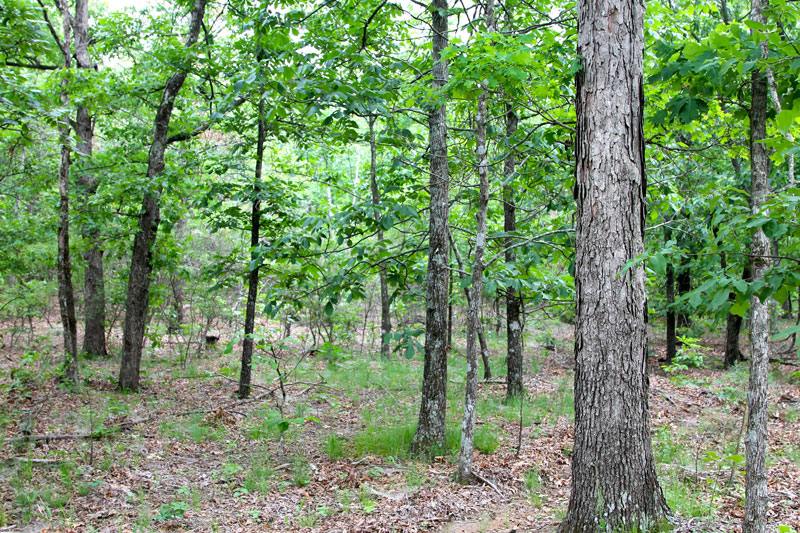 Tract 61 at Trophy Ridge Phase II in Pushmataha County, Oklahoma