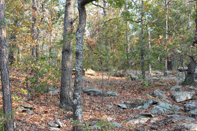 Tract 62 at Trophy Ridge Phase II in Pushmataha County, Oklahoma