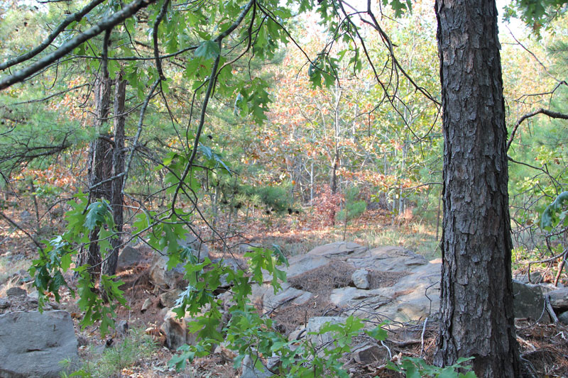 Tract 63 at Trophy Ridge Phase II in Pushmataha County, Oklahoma