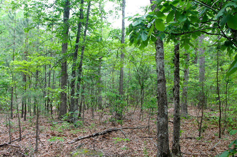 Tract 66 at Trophy Ridge Phase II in Pushmataha County, Oklahoma
