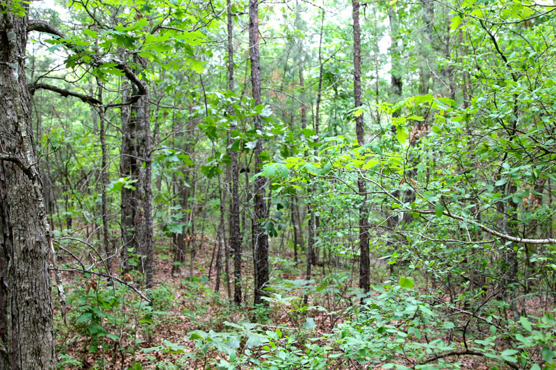 Tract 67 at Trophy Ridge Phase II in Pushmataha County, Oklahoma