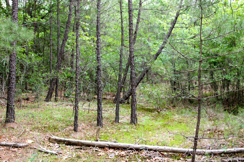 Tract 68 at Trophy Ridge Phase II in Pushmataha County, Oklahoma