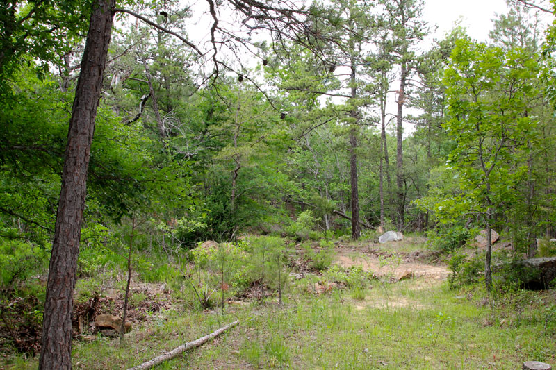 Tract 70 at Trophy Ridge Phase II in Pushmataha County, Oklahoma