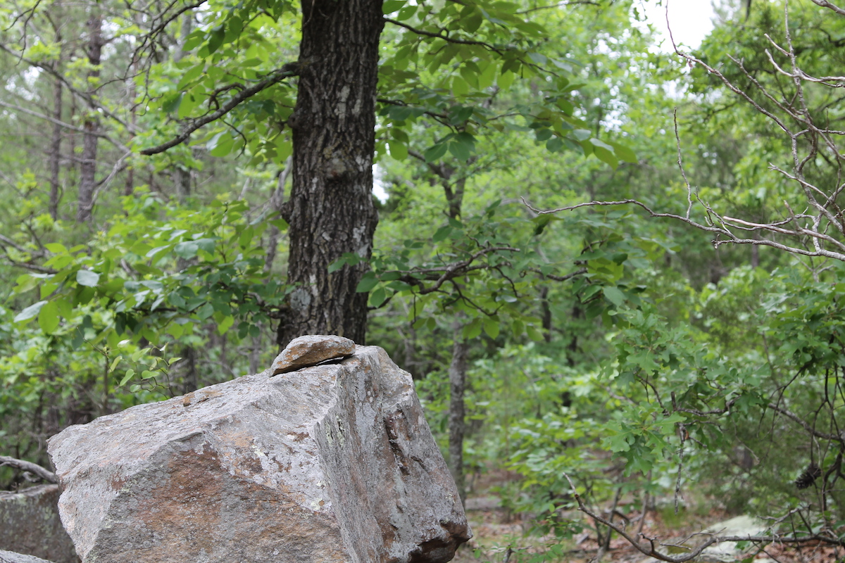 Tract 71 at Trophy Ridge Phase II in Pushmataha County, Oklahoma