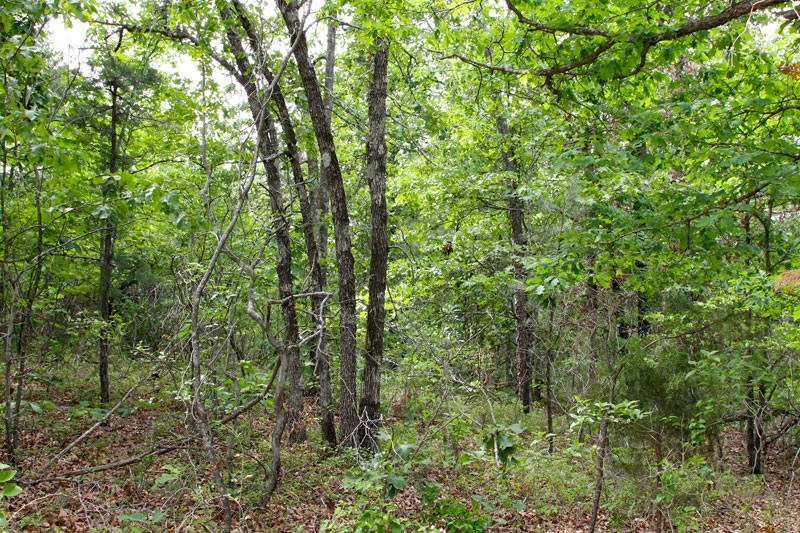 Tract 72 at Trophy Ridge Phase II in Pushmataha County, Oklahoma