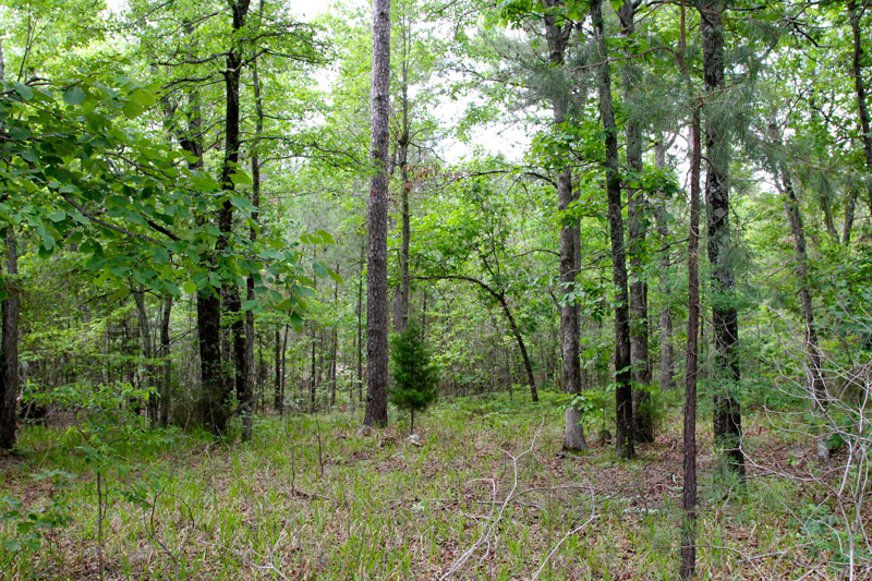 Tract 73 at Trophy Ridge Phase II in Pushmataha County, Oklahoma