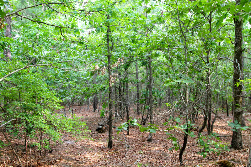 Tract 74 at Trophy Ridge Phase II in Pushmataha County, Oklahoma