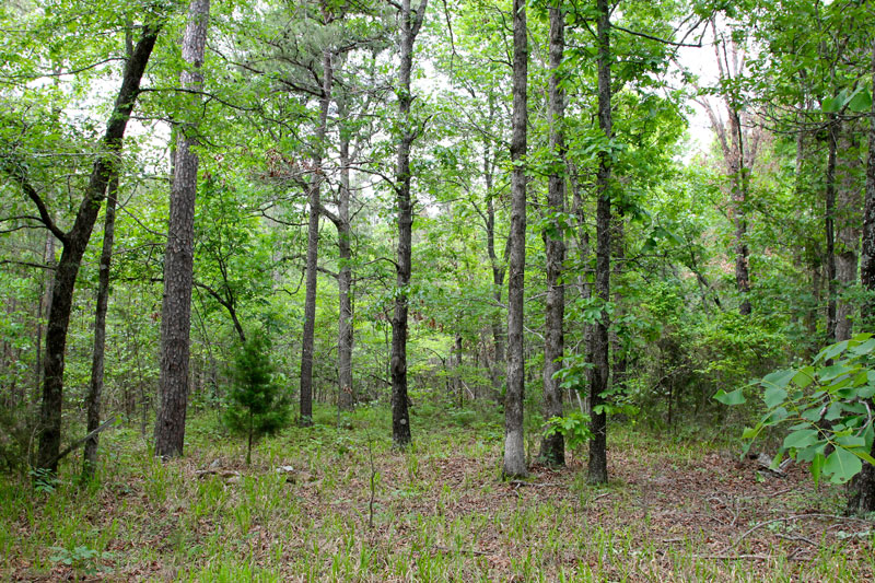 Tract 76 at Trophy Ridge Phase II in Pushmataha County, Oklahoma