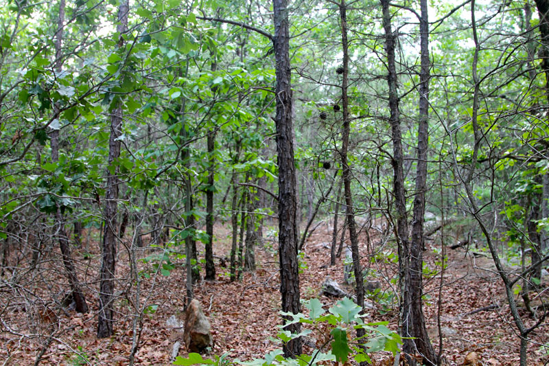 Tract 82 at Trophy Ridge Phase II in Pushmataha County, Oklahoma
