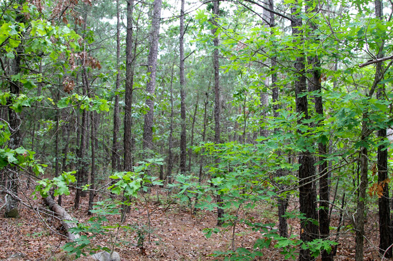 Tract 92 at Trophy Ridge Phase II in Pushmataha County, Oklahoma